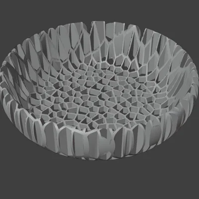 Tô Voronoi Xuyên Thấu - Dáng Đứng