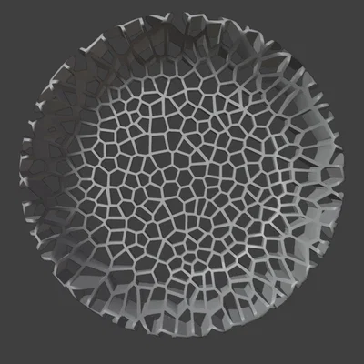 Tô Voronoi Xuyên Thấu - Dáng Đứng