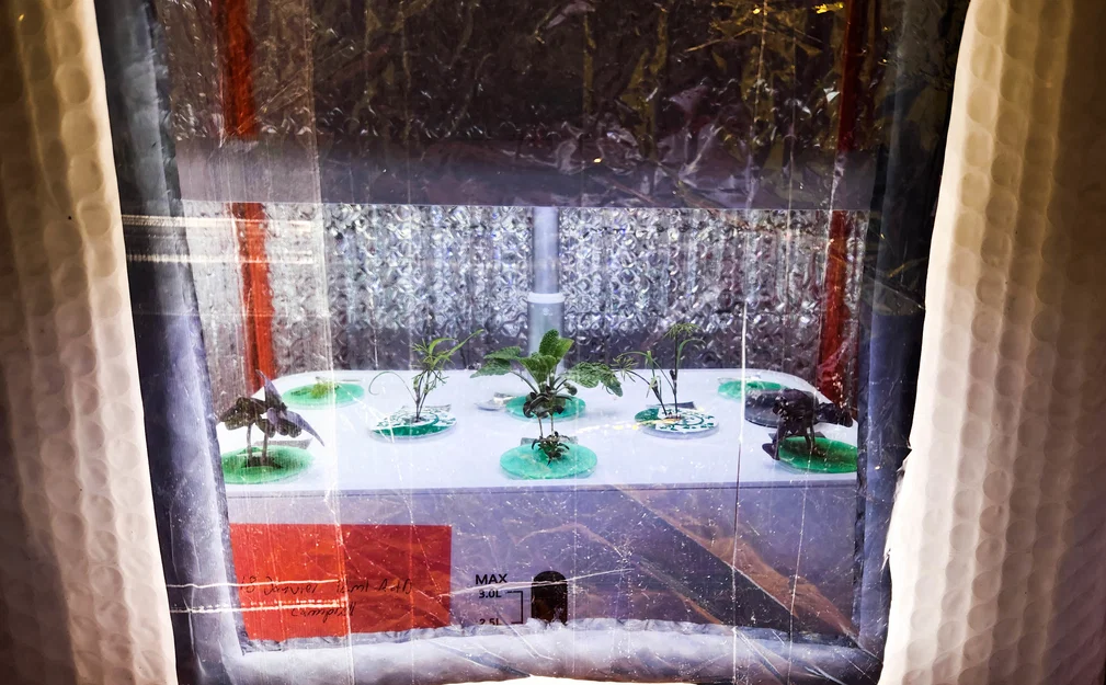 DIY Lều trồng cây / Buồng máy in 3D / Nhà kính thu nhỏ - Image 4