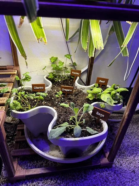 Bộ thẻ cắm đánh dấu tên cây thảo mộc - Small Herb Garden Signs - Image 1