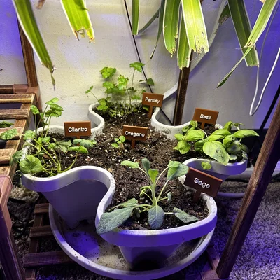 Bộ thẻ cắm đánh dấu tên cây thảo mộc - Small Herb Garden Signs