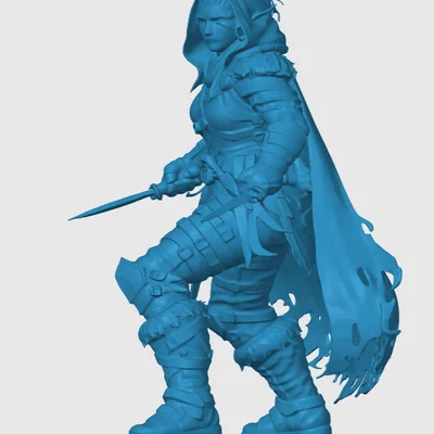 Mô hình Goliath Rogue