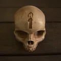 Mô hình đầu lâu Halo Campaign (hỗ trợ thêm biểu tượng theo yêu cầu) - Thumbnail 1