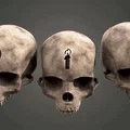Mô hình đầu lâu Halo Campaign (hỗ trợ thêm biểu tượng theo yêu cầu) - Thumbnail 2