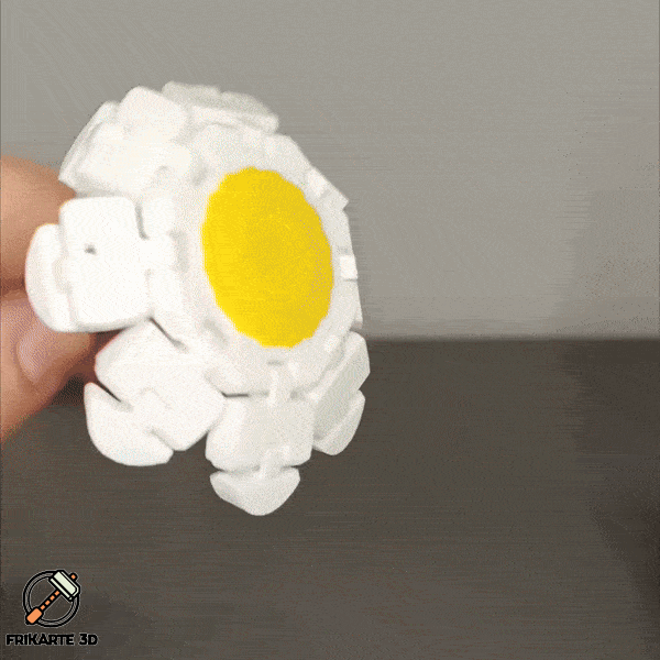 Flexi Daisy Flower - Hoa Cúc Linh Hoạt - Image 1