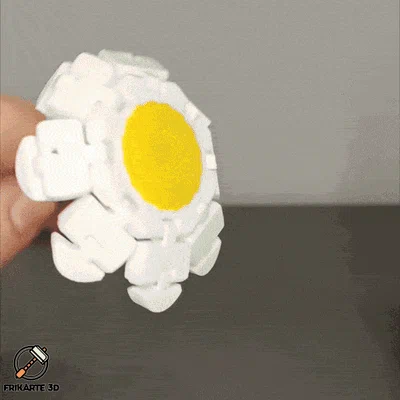 Flexi Daisy Flower - Hoa Cúc Linh Hoạt