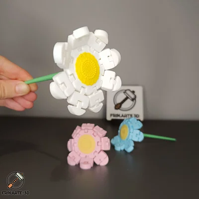 Flexi Daisy Flower - Hoa Cúc Linh Hoạt
