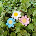 Flexi Daisy Flower - Hoa Cúc Linh Hoạt - Thumbnail 10