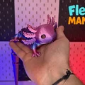 XXL Flexi Axolotl | Mô hình kỳ giông Axolotl linh hoạt siêu đáng yêu - Thumbnail 2