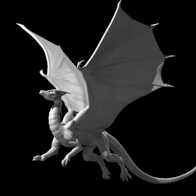 Mô hình Rồng Mercurial Dragon