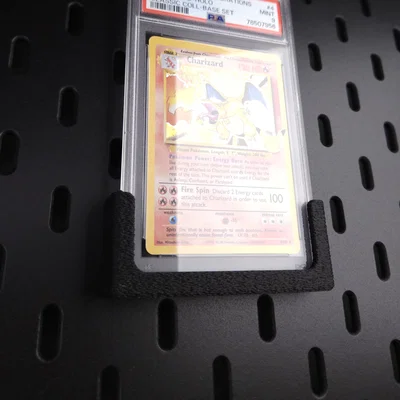 Giá treo thẻ đã phân loại (Graded Card) cho bảng Skadis