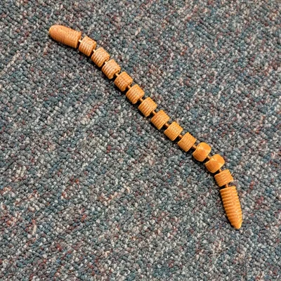 Mô hình chú giun đất khớp nối 3D linh hoạt cho người mê in 3D