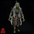 Mô hình 3D Green Hag (Mụ Phù Thủy Xanh) 32mm cho D&D cực chi tiết - Thumbnail 1