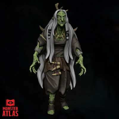 Mô hình 3D Green Hag (Mụ Phù Thủy Xanh) 32mm cho D&D cực chi tiết