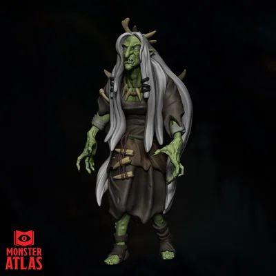 Mô hình 3D Green Hag (Mụ Phù Thủy Xanh) 32mm cho D&D cực chi tiết