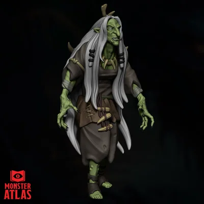 Mô hình 3D Green Hag (Mụ Phù Thủy Xanh) 32mm cho D&D cực chi tiết