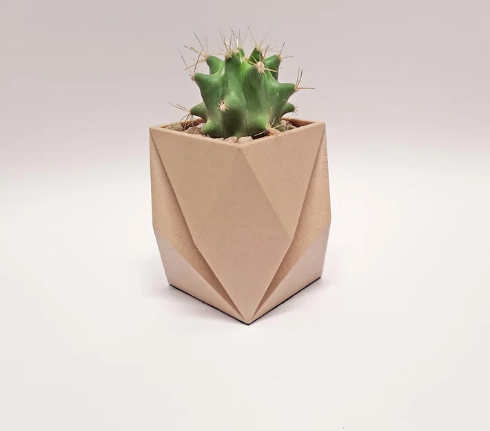 Bộ chậu trồng cây để bàn cho xương rồng và cây cảnh nội thất - Image 3