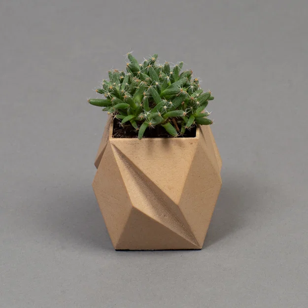 Bộ chậu trồng cây để bàn cho xương rồng và cây cảnh nội thất - Image 6