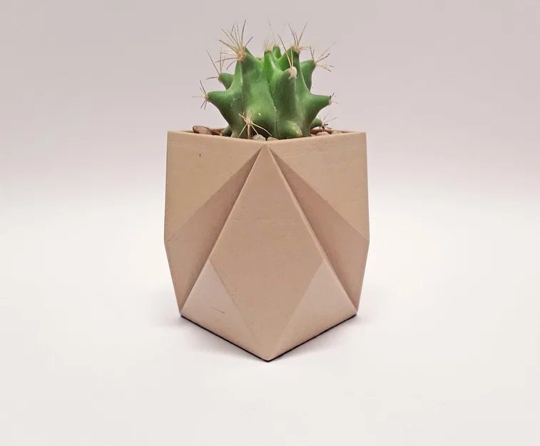 Bộ chậu trồng cây để bàn cho xương rồng và cây cảnh nội thất - Image 7