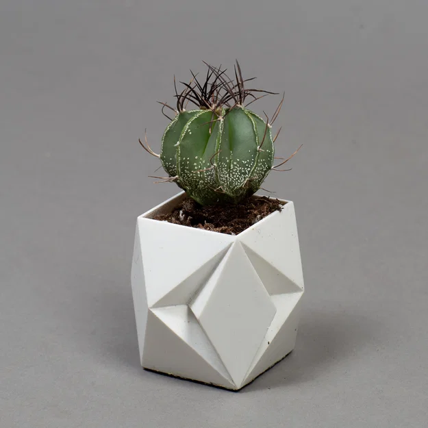 Bộ chậu trồng cây để bàn cho xương rồng và cây cảnh nội thất - Image 14