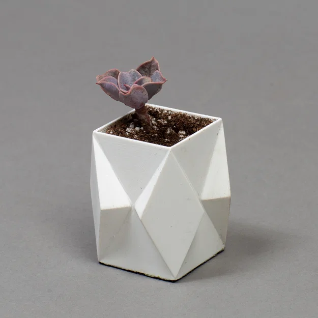 Bộ chậu trồng cây để bàn cho xương rồng và cây cảnh nội thất - Image 15