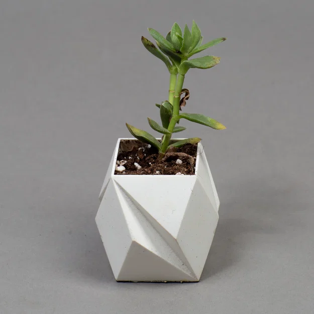 Bộ chậu trồng cây để bàn cho xương rồng và cây cảnh nội thất - Image 16