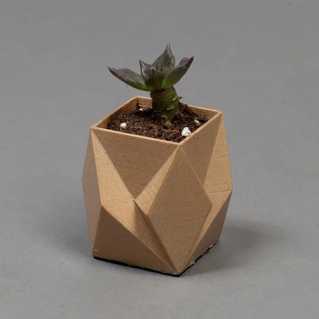 Bộ chậu trồng cây để bàn cho xương rồng và cây cảnh nội thất - Image 17