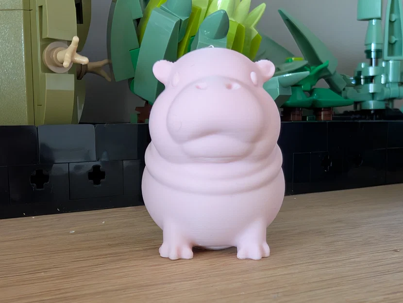 Moo Deng - Bé hà mã lùn đáng yêu - Image 2