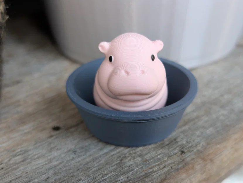 Moo Deng - Bé hà mã lùn đáng yêu - Image 3