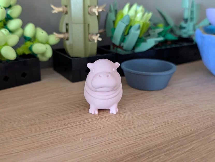 Moo Deng - Bé hà mã lùn đáng yêu - Image 4