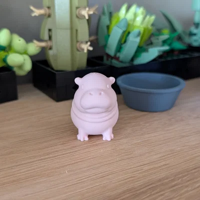 Moo Deng - Bé hà mã lùn đáng yêu