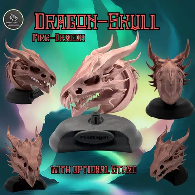 Mô hình hộp sọ rồng (Dragon Skull) kèm chân đế