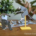 Wildlife Kit Card - Bộ mô hình các loài động vật hoang dã - Thumbnail 5