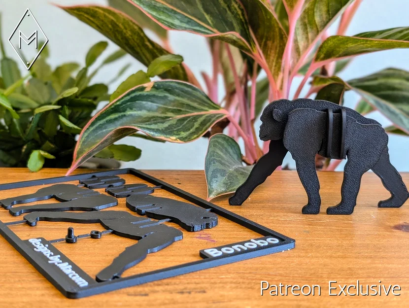 Wildlife Kit Card - Bộ mô hình các loài động vật hoang dã - Image 9