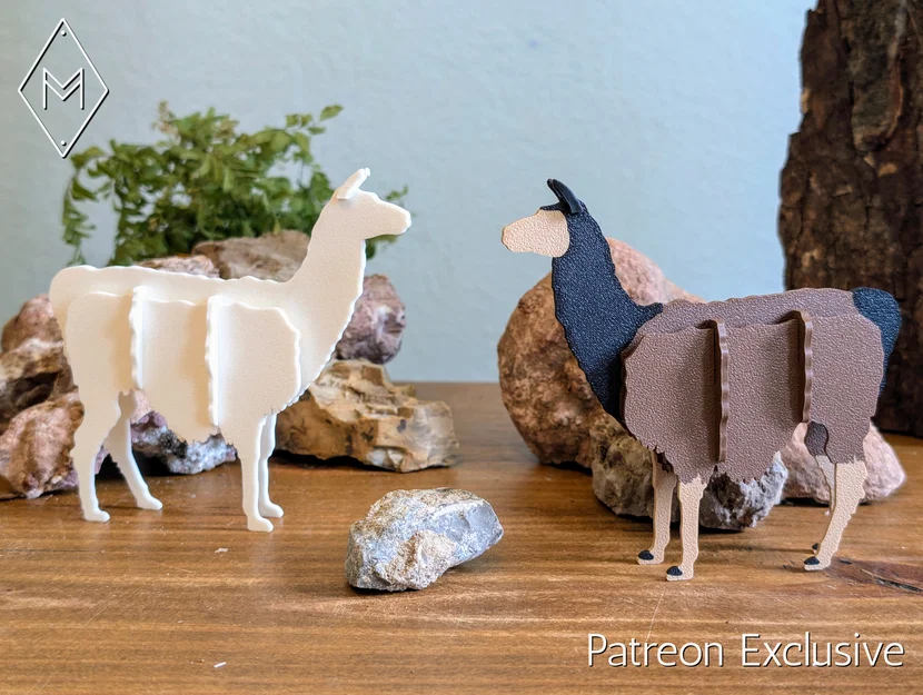 Wildlife Kit Card - Bộ mô hình các loài động vật hoang dã - Image 11