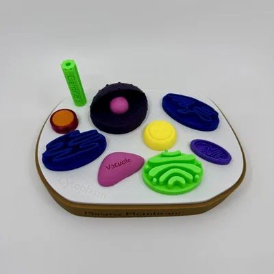 Mô hình tế bào động vật có gắn nhãn