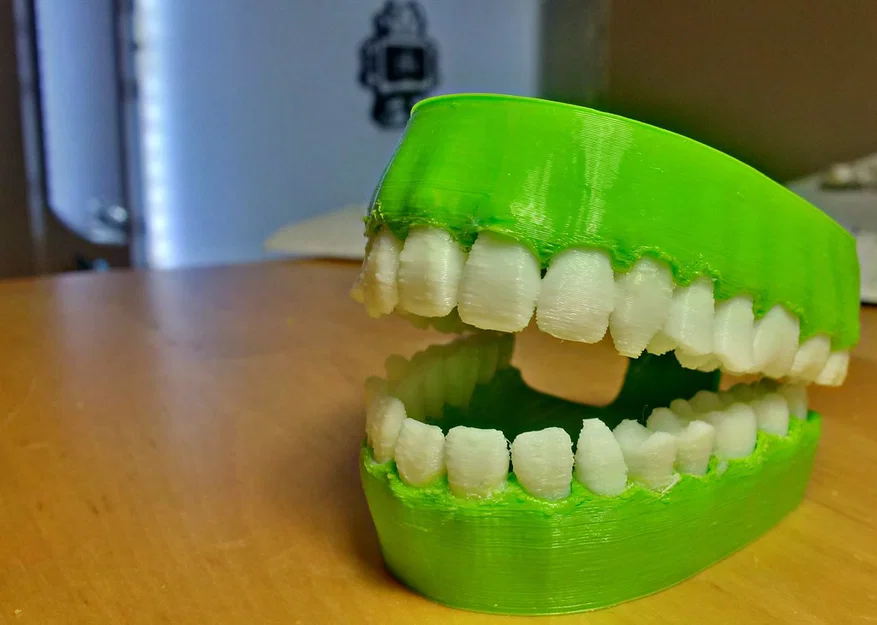 Remix mô hình hàm răng tập chải răng - Đã thêm hỗ trợ cho phần cầu - Image 1