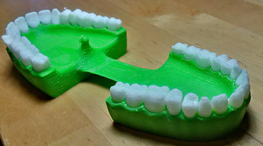 Remix mô hình hàm răng tập chải răng - Đã thêm hỗ trợ cho phần cầu - Image 4