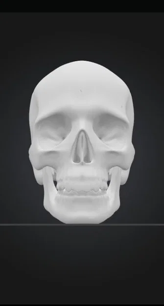 Mô hình đầu lâu Skull Head trang trí Halloween độc đáo - Image 2