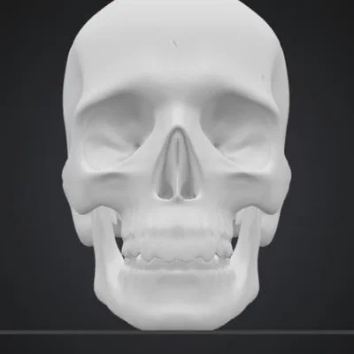 Mô hình đầu lâu Skull Head trang trí Halloween độc đáo