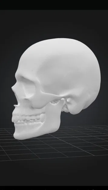 Mô hình đầu lâu Skull Head trang trí Halloween độc đáo - Image 3