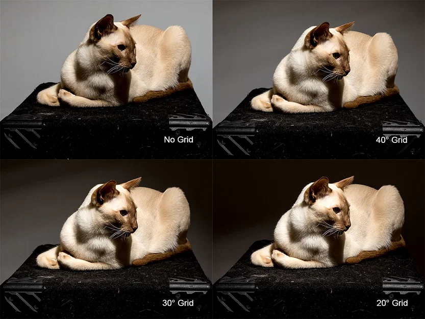 Bộ lưới tản sáng Canon Speedlight Grid - Image 5