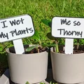 Bộ 20 thẻ cắm chậu cây hài hước trang trí cực xinh - Thumbnail 4