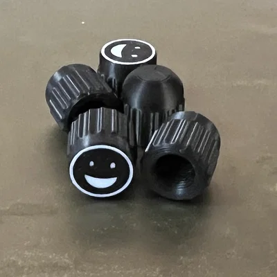 Nắp van xe Schrader (Schrader Valve Caps)