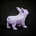 Mô hình tượng chó French Bulldog Seletti - Thumbnail 3