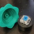 Christmas Tree Fidget Clicker - Đồ chơi cây thông Noel nhấn kêu tách tách - Thumbnail 4