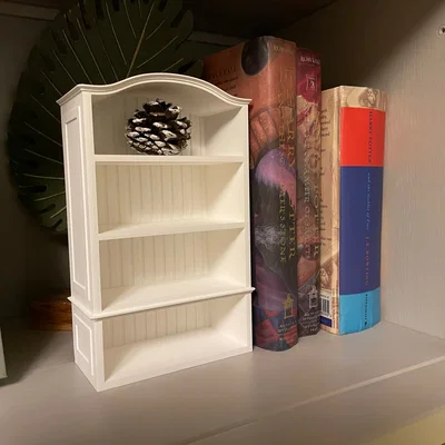Kệ Sách Thu Nhỏ (Miniature Bookshelf)