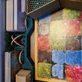 Khay đựng/Inlay cho Boardgame Mycelia (Ravensburger) - Thumbnail 2