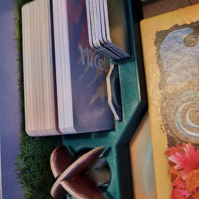 Khay đựng/Inlay cho Boardgame Mycelia (Ravensburger)