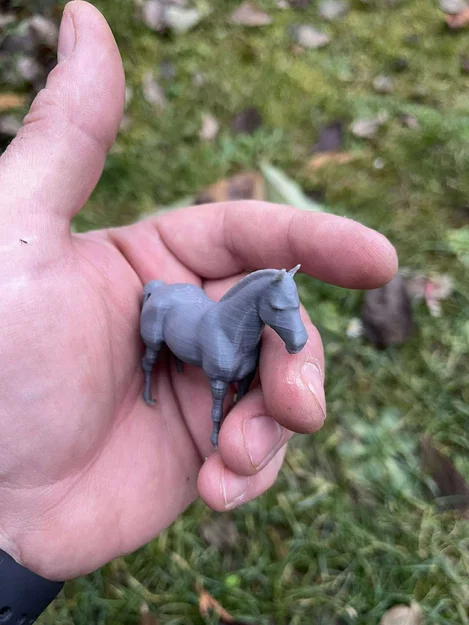 Gia đình ngựa trên nông trại - Image 3